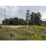 Zdjęcia użytkowników Google Pixel 9 Pro XL