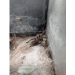 ZDJĘCIA Z TEGO TELEFONU