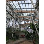 ZDJĘCIA Z TEGO TELEFONU