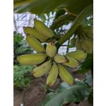 ZDJĘCIA Z TEGO TELEFONU