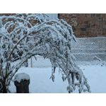 ZDJĘCIA Z TEGO TELEFONU