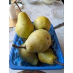 Zdjęcia użytkowników Google Pixel 9