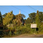 ZDJĘCIA Z TEGO TELEFONU