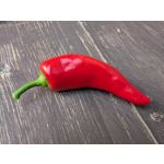 ZDJĘCIA Z TEGO TELEFONU