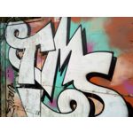 Zdjęcia użytkowników Hammer Active