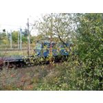 Zdjęcia użytkowników Hammer Active