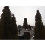 Zdjęcia użytkowników Hammer Blade 2 Pro