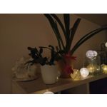 Zdjęcia użytkowników Hammer Blade 2 Pro