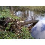 Zdjęcia użytkowników Hammer Blade