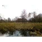 Zdjęcia użytkowników Hammer Blade