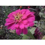 Zdjęcia użytkowników Hammer BOW+