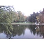 Zdjęcia użytkowników Hammer BOW+