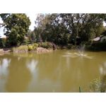 Zdjęcia użytkowników Hammer Energy 18x9 Zdjęcia użytkowników Hammer Energy 18x9