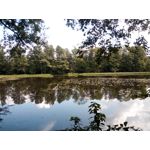 Zdjęcia użytkowników Hammer Energy 18x9 Zdjęcia użytkowników Hammer Energy 18x9