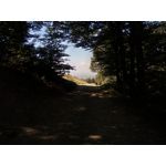 Zdjęcia użytkowników Hammer Energy 18x9 Zdjęcia użytkowników Hammer Energy 18x9