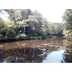 Zdjęcia użytkowników Hammer Energy 18x9 Zdjęcia użytkowników Hammer Energy 18x9