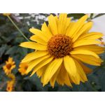 Zdjęcia użytkowników Hammer Energy 18x9 Zdjęcia użytkowników Hammer Energy 18x9