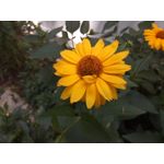 Zdjęcia użytkowników Hammer Energy 18x9 Zdjęcia użytkowników Hammer Energy 18x9