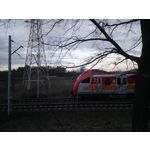 Zdjęcia użytkowników Hammer Energy