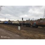 Zdjęcia użytkowników Hammer Iron V Zdjęcia użytkowników Hammer Iron V