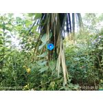 ZDJĘCIA Z TEGO TELEFONU