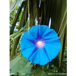 ZDJĘCIA Z TEGO TELEFONU