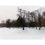 Zdjęcia użytkowników Homtom HT10 Zdjęcia użytkowników Homtom HT10