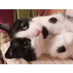 Zdjęcia użytkowników Homtom HT10 Zdjęcia użytkowników Homtom HT10