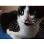 Zdjęcia użytkowników Homtom HT10 Zdjęcia użytkowników Homtom HT10