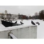 ZDJĘCIA Z TEGO TELEFONU