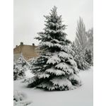 ZDJĘCIA Z TEGO TELEFONU