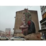 Zdjęcia użytkowników Honor 10 Lite