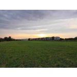 Zdjęcia użytkowników Honor 10