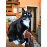 Zdjęcia użytkowników Honor 10