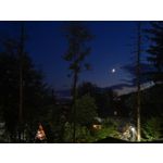 Zdjęcia użytkowników Honor 10