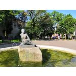 Zdjęcia użytkowników Honor 10