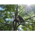 Zdjęcia użytkowników Honor 10