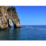 Zdjęcia użytkowników Honor 10