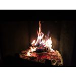 Zdjęcia użytkowników Honor 10