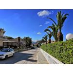 Zdjęcia użytkowników Honor 10