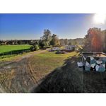 Zdjęcia użytkowników Honor 10