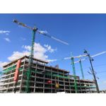 Zdjęcia użytkowników Honor 10