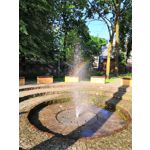 Zdjęcia użytkowników Honor 10