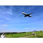 Zdjęcia użytkowników Honor 10