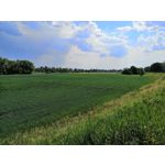 Zdjęcia użytkowników Honor 10