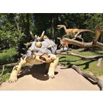 Zdjęcia użytkowników Honor 10