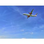 Zdjęcia użytkowników Honor 10