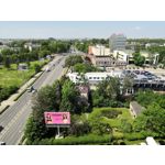 Zdjęcia użytkowników Honor 10