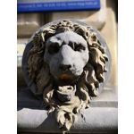 Zdjęcia użytkowników Honor 10