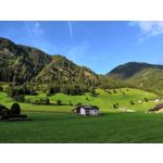 Zdjęcia użytkowników Honor 10